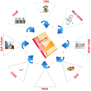 mô hình phần mềm kế toán BORO eAccounting