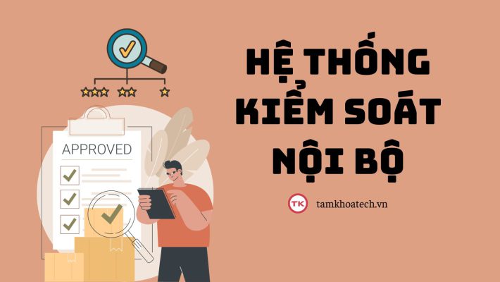 Hệ thống kiểm soát nội bộ