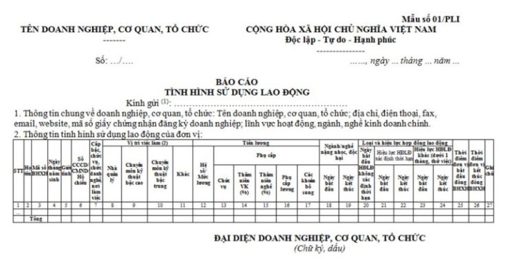 Mẫu báo cáo tình hình sử dụng lao động (mẫu số 01)