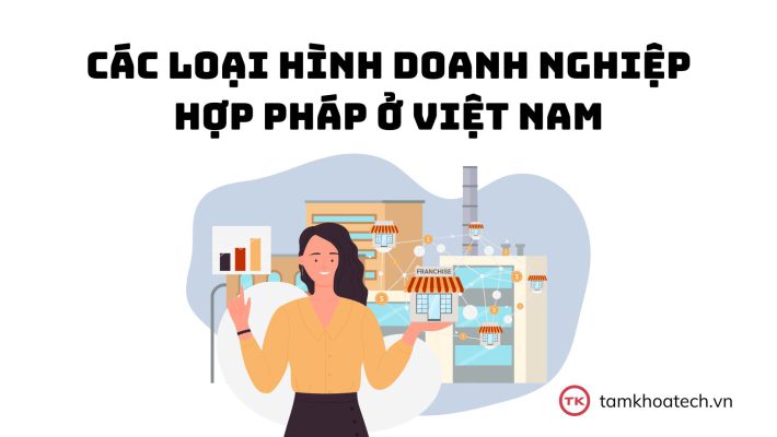 Các loại hình doanh nghiệp hợp pháp ở Việt Nam